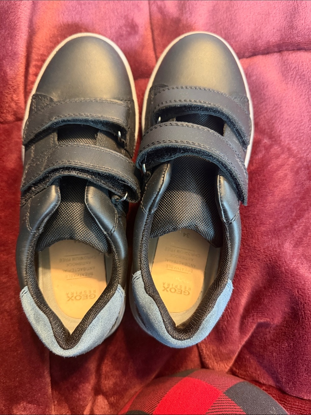 Geox Kids Navy Blue Velcro Sneakers